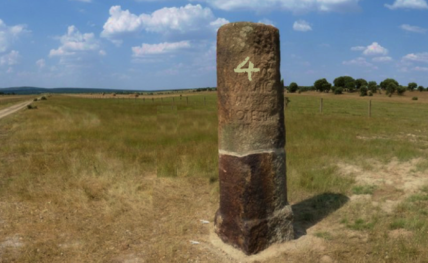 Milestone 4