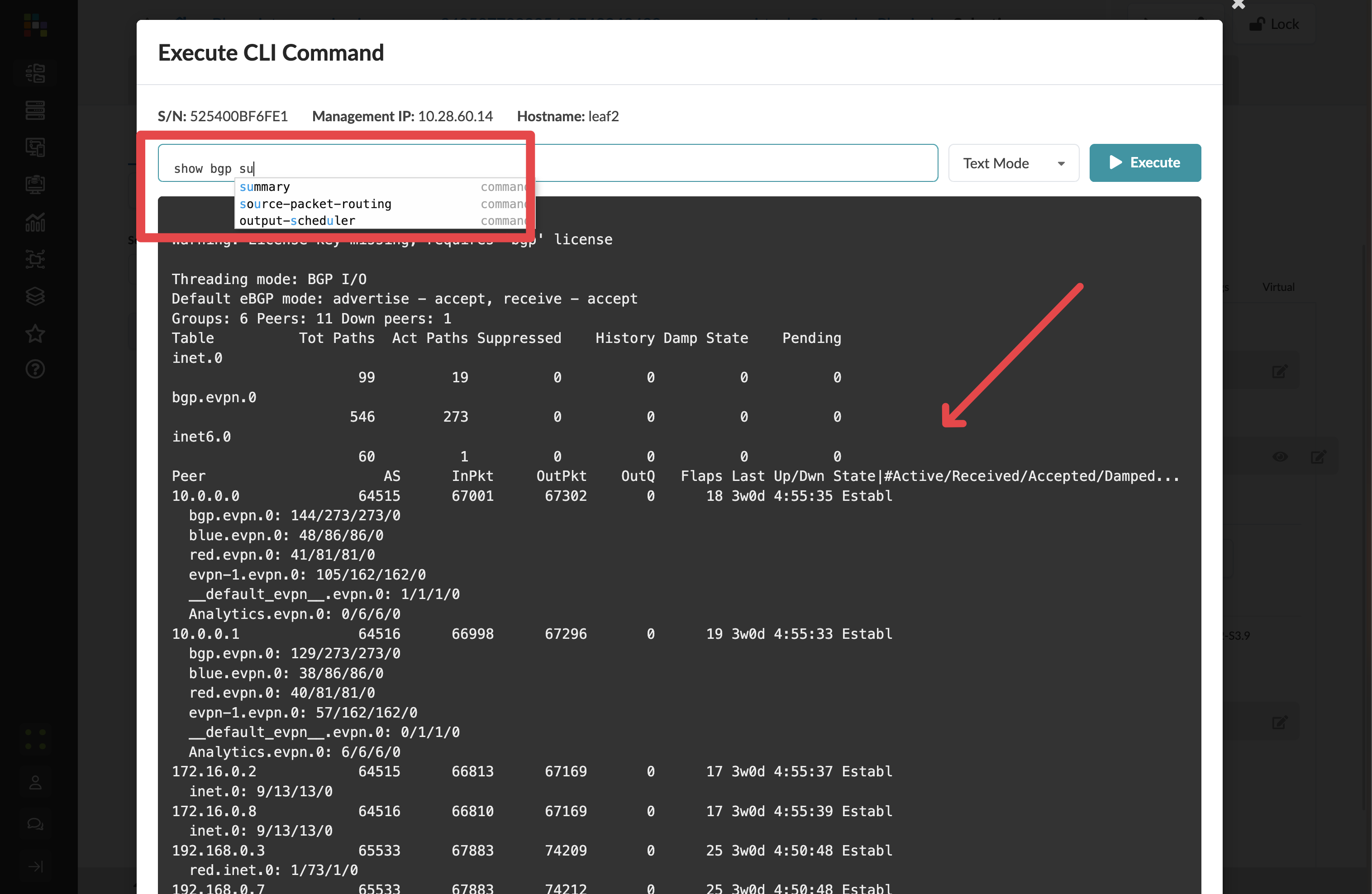 Execute CLI Command