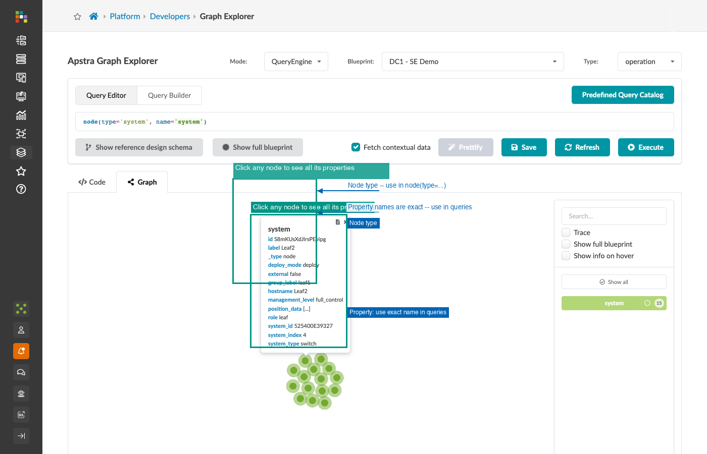 Node detail panel — system node with all properties listed including role