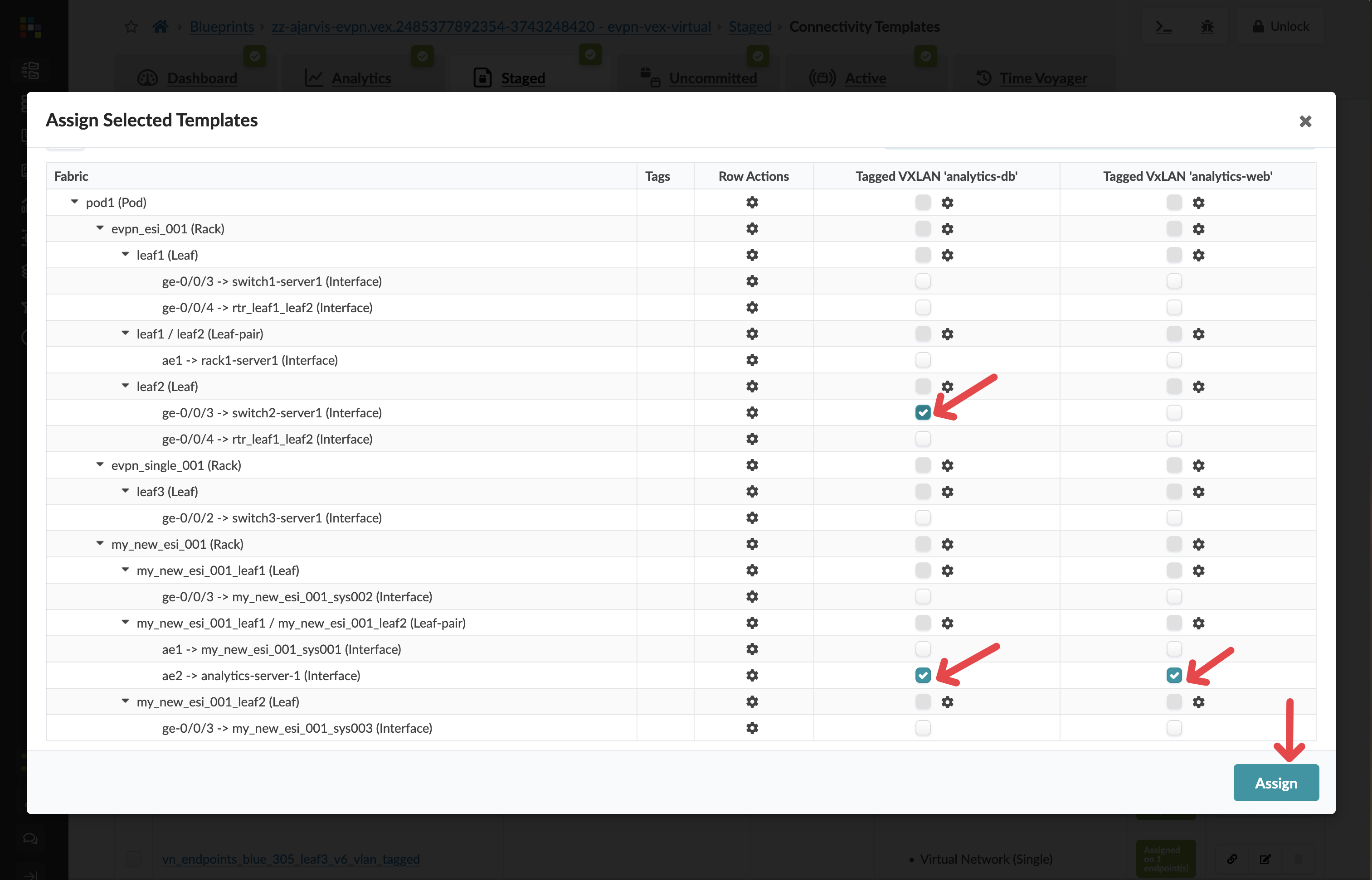 Assigning connectivity templates to server interfaces